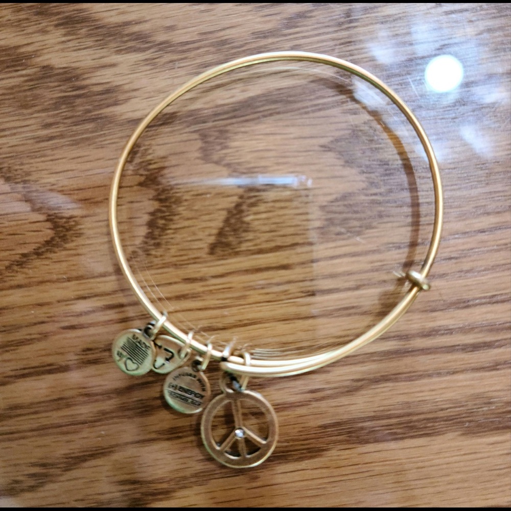 alex and ani bracelet